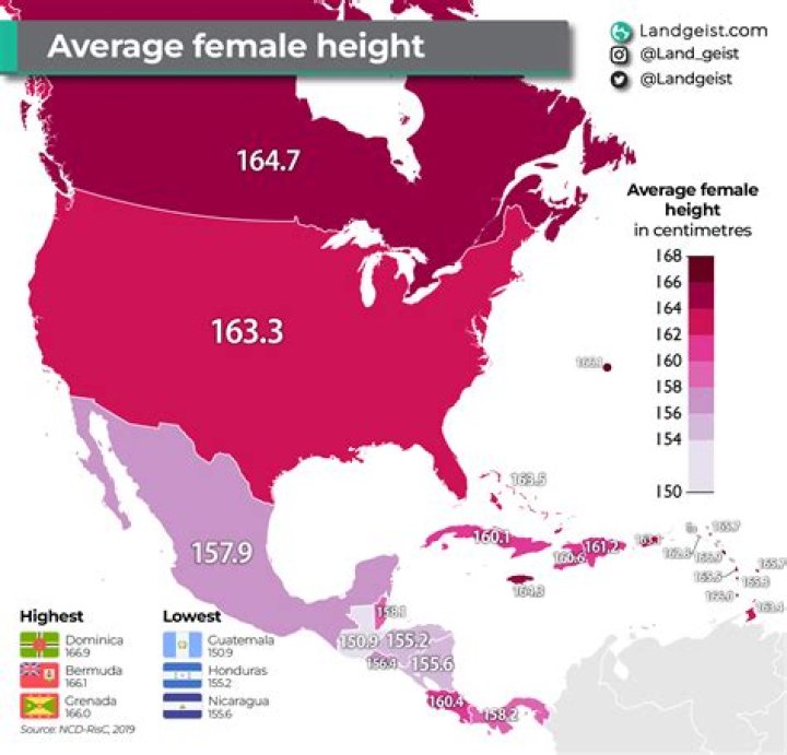 Average Height of Women in the US: Comprehensive Insights and Statistics