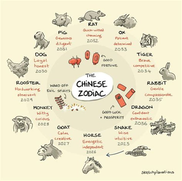 Chinese Zodiacs Ranked: Discover the Characteristics and Traits of Each Sign