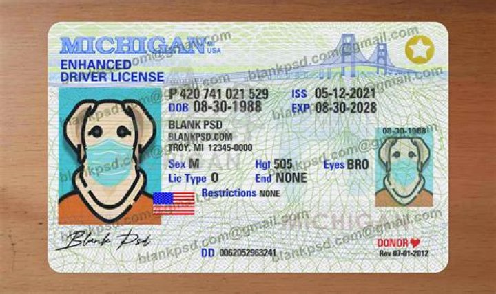 Comprehensive Guide: Cost to Renew Driver's License in NC