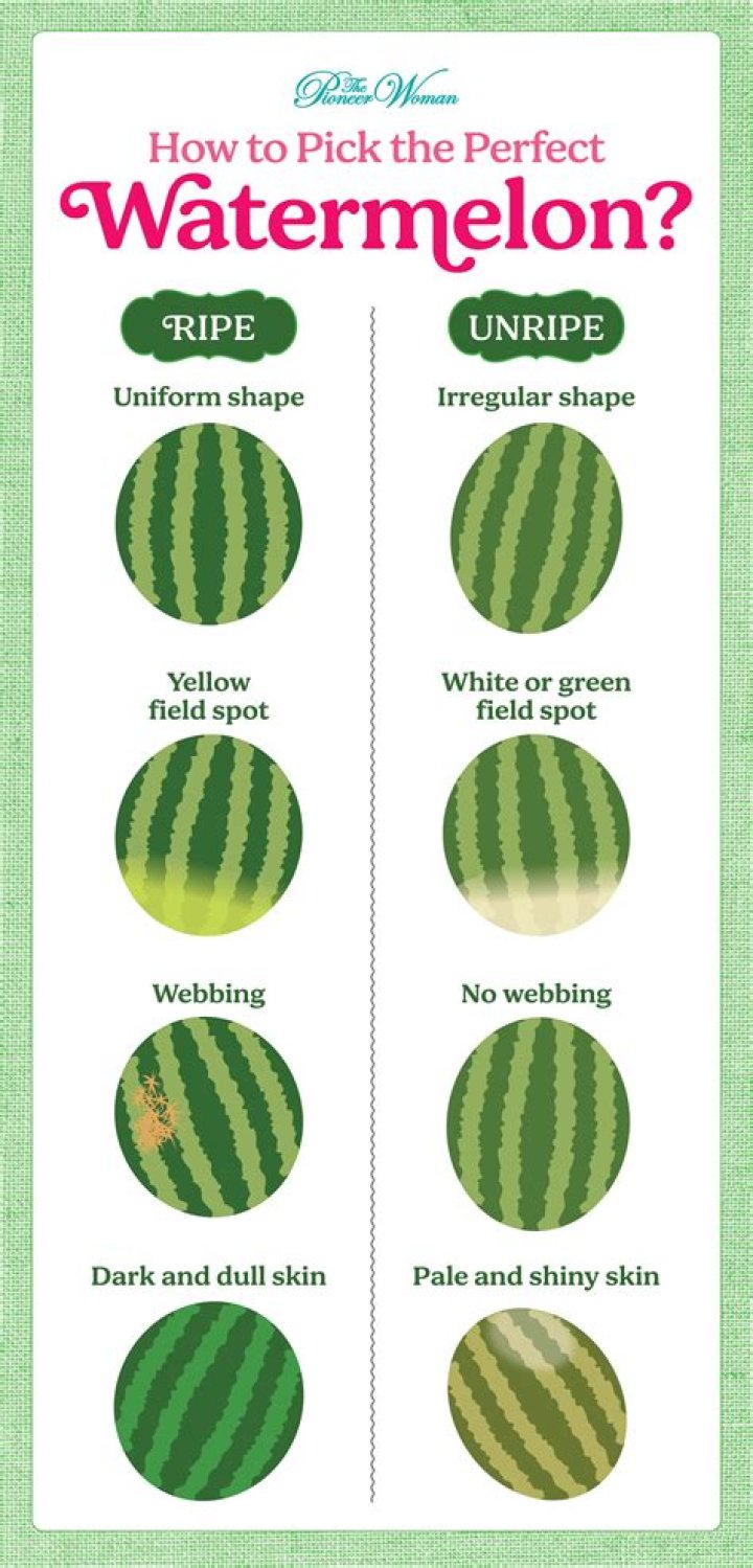 Countryong About Watermelon: A Comprehensive Exploration of the Juiciest Fruit