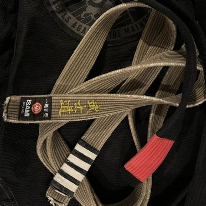 Ed O'Neill's Journey to Black Belt: The Ultimate Guide to Martial Arts Mastery
