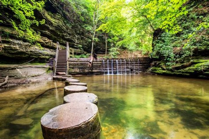 Exploring the Allure of Starved Rock Cabins: Your Ultimate Guide