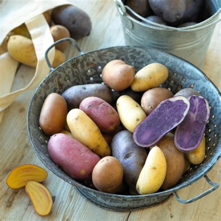 Largest Potato Producing State: Discovering the King of Tubers