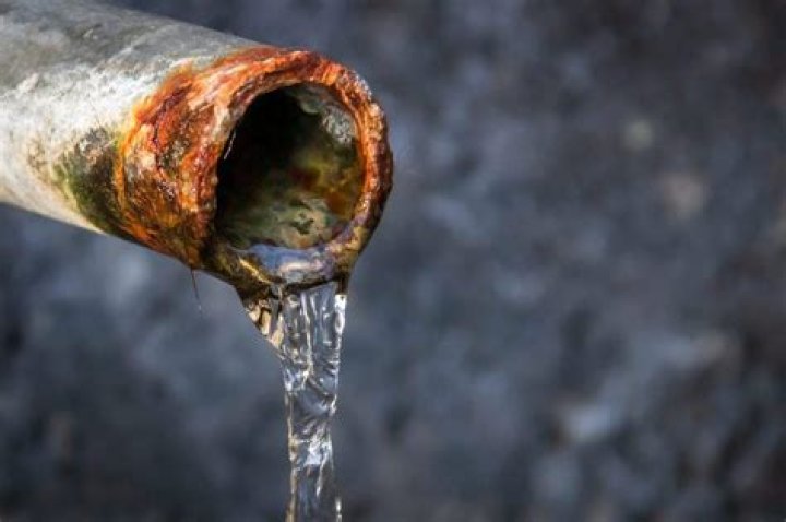 Stanley Cups and Lead Contamination: Understanding the Risks and Solutions
