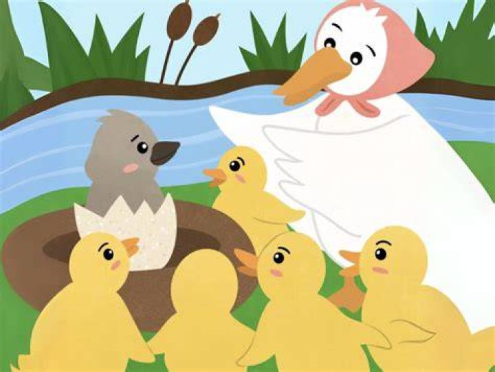 The Ugly Duckling from Chicken Little: A Comprehensive Analysis