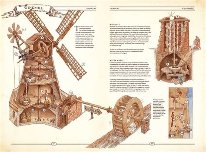 The Ultimate Guide to Building a Remarkable Collection