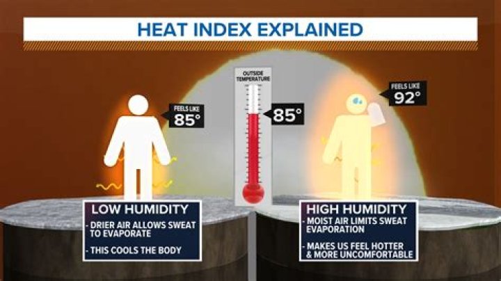 Understanding Humidity in Myrtle Beach: A Comprehensive Guide