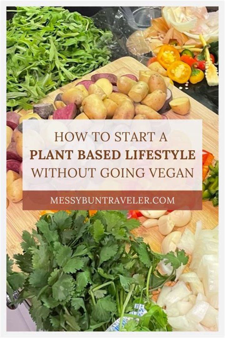 Vegemovies: Your Ultimate Guide to Plant-Based Film Entertainment