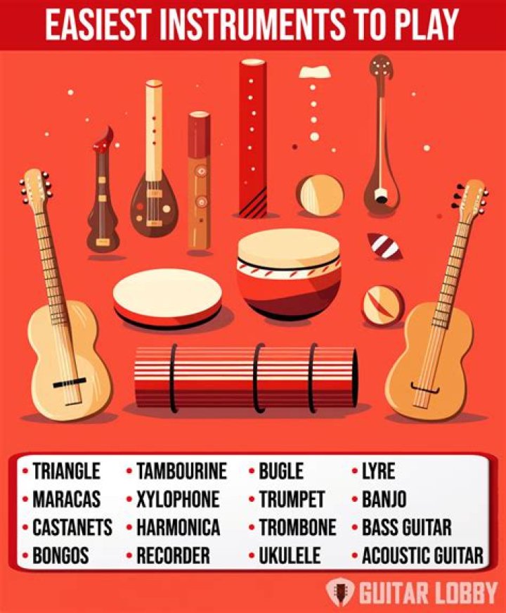 What Is the Easiest Instrument to Learn: A Comprehensive Guide for Beginners
